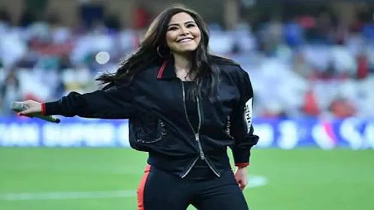 أزمة شيرين عبد الوهاب.. شقيق الفنانة يفجر مفاجأة بشأن تأثير حسام حبيب